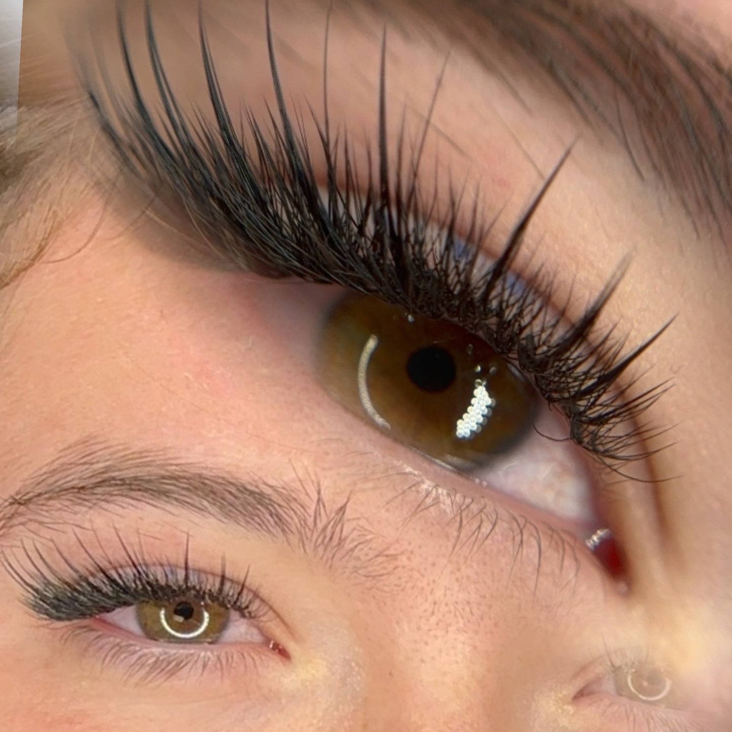 PANDA PROGRAMMA LEARNING