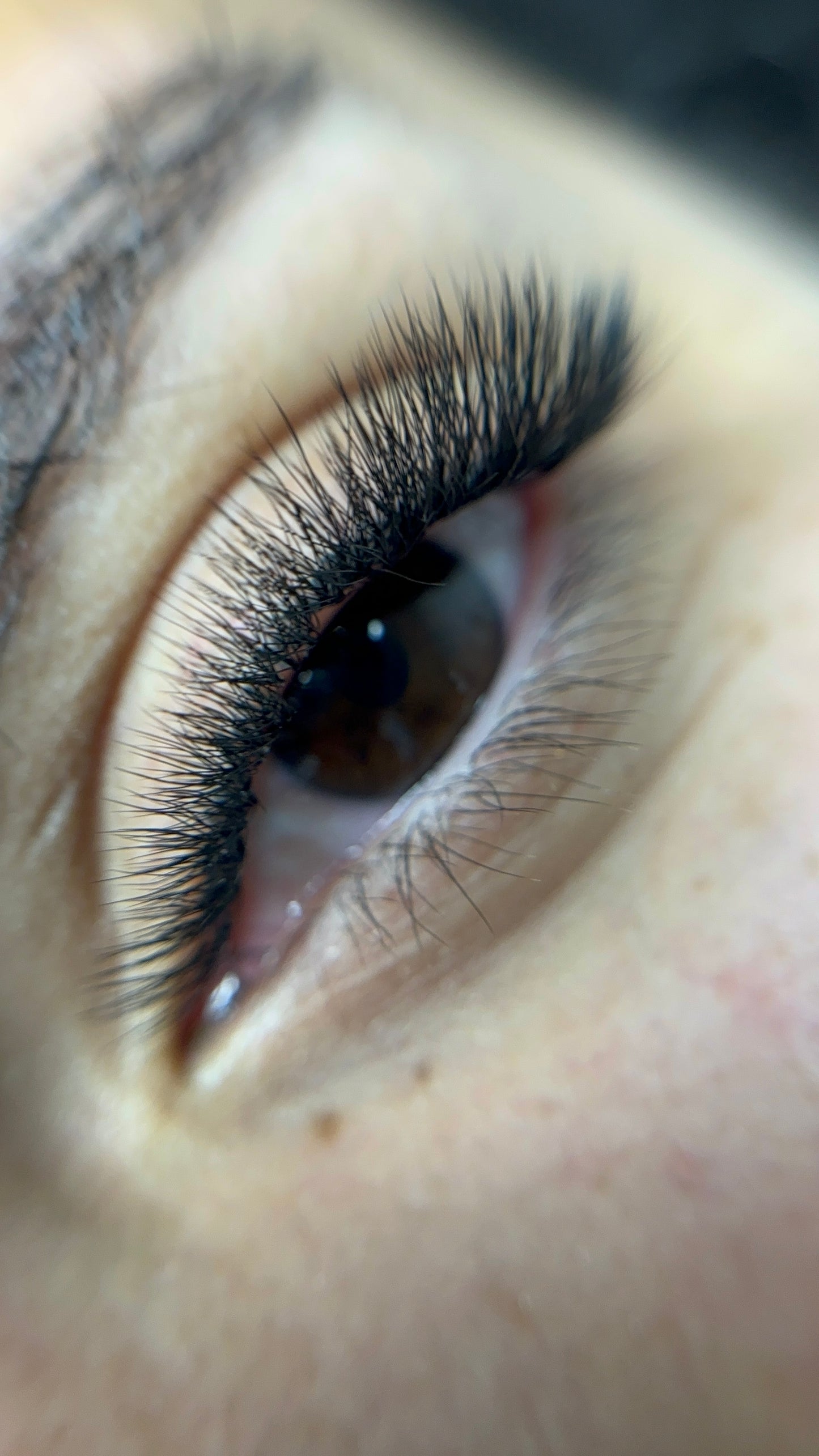 PANDA PROGRAMMA LEARNING