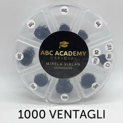 1000 VENTAGLI 8D MIX 0,07 D curl