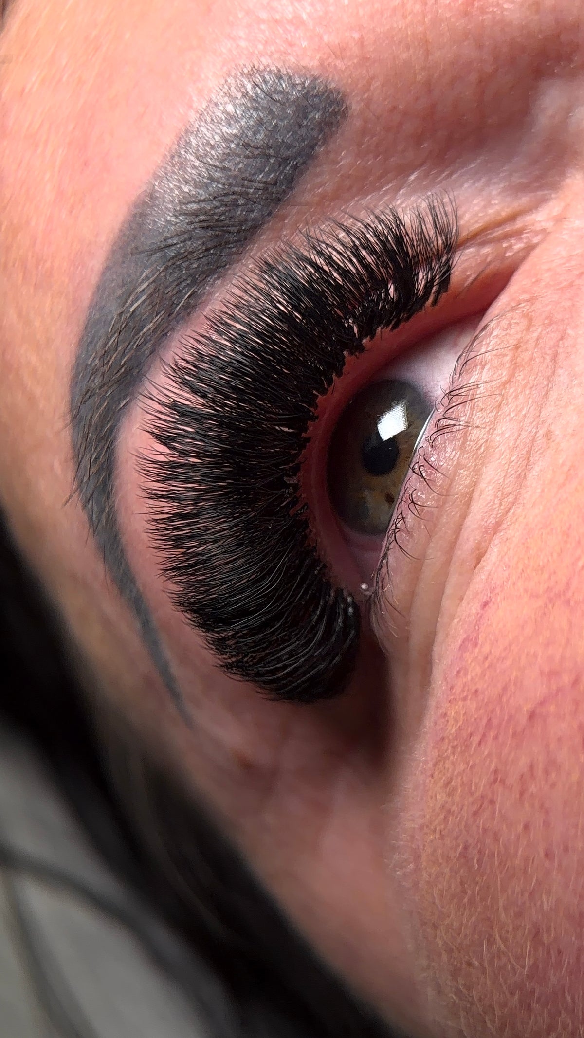 5d U lashes D curl