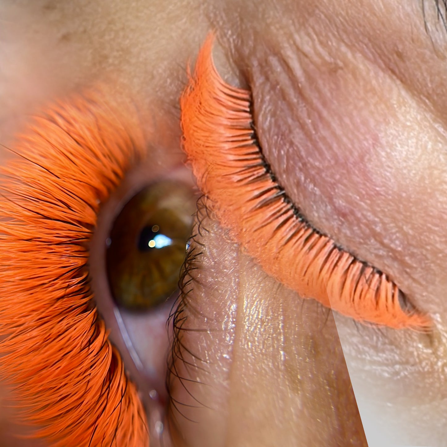 PANDA PROGRAMMA LEARNING