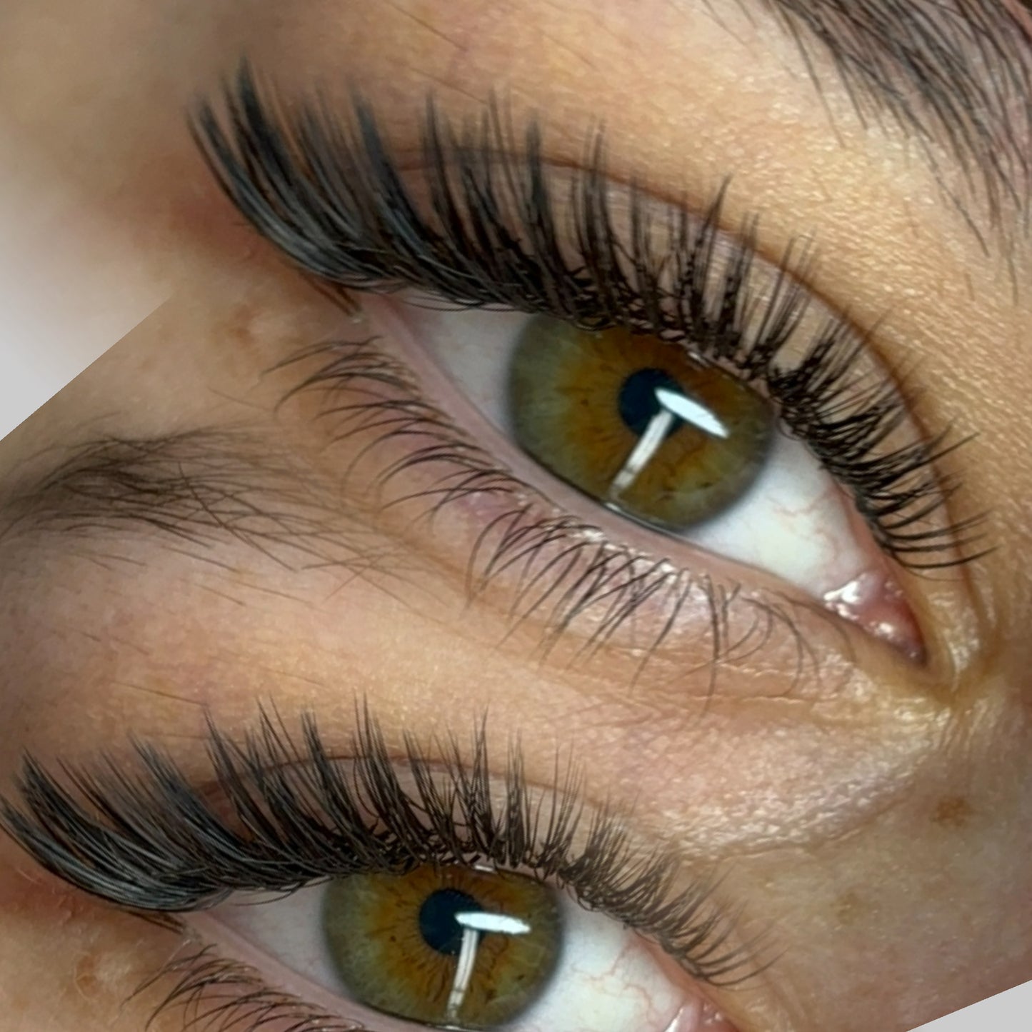 PANDA PROGRAMMA LEARNING