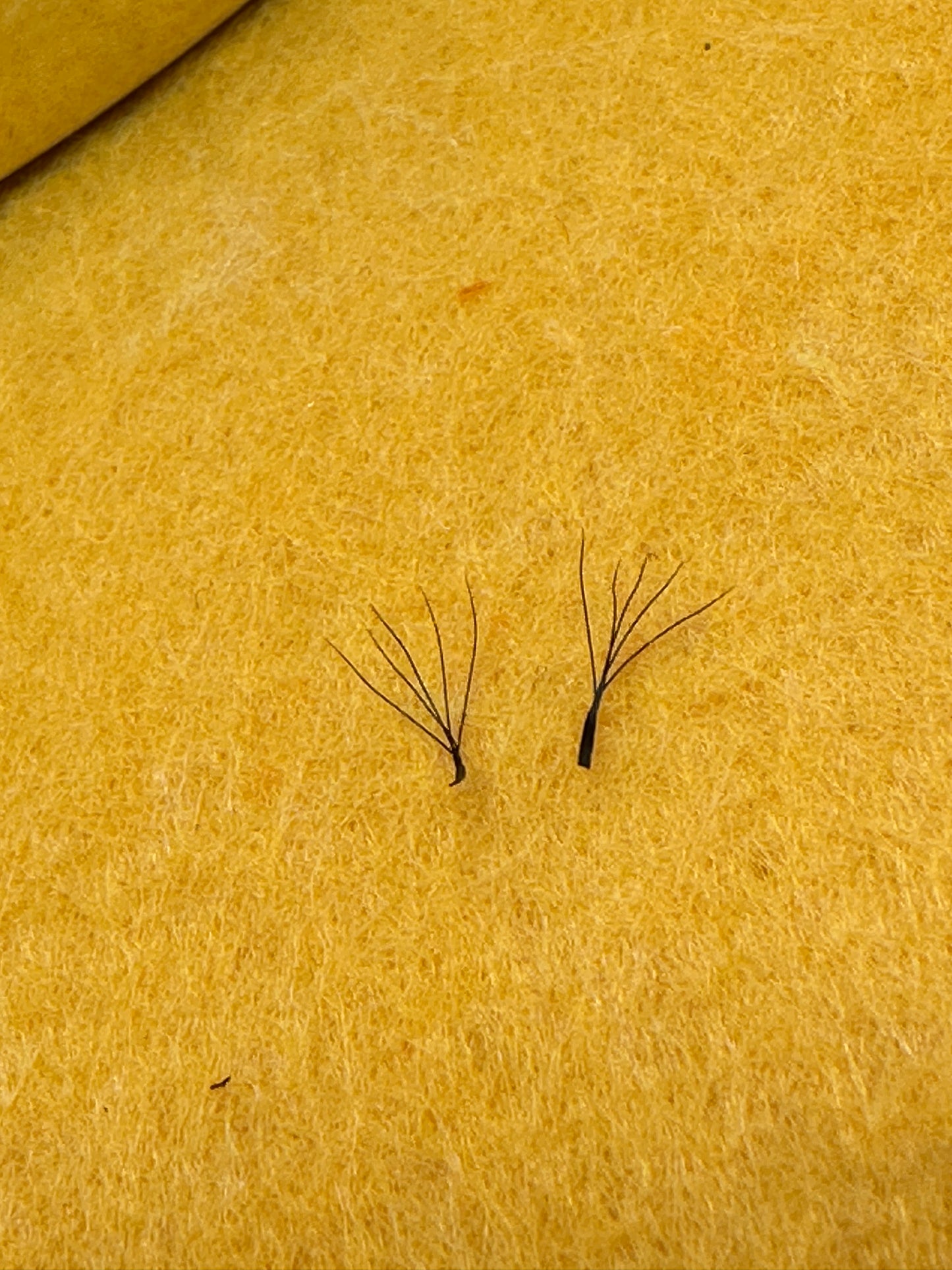 5d 0,05 d curl 12 mm