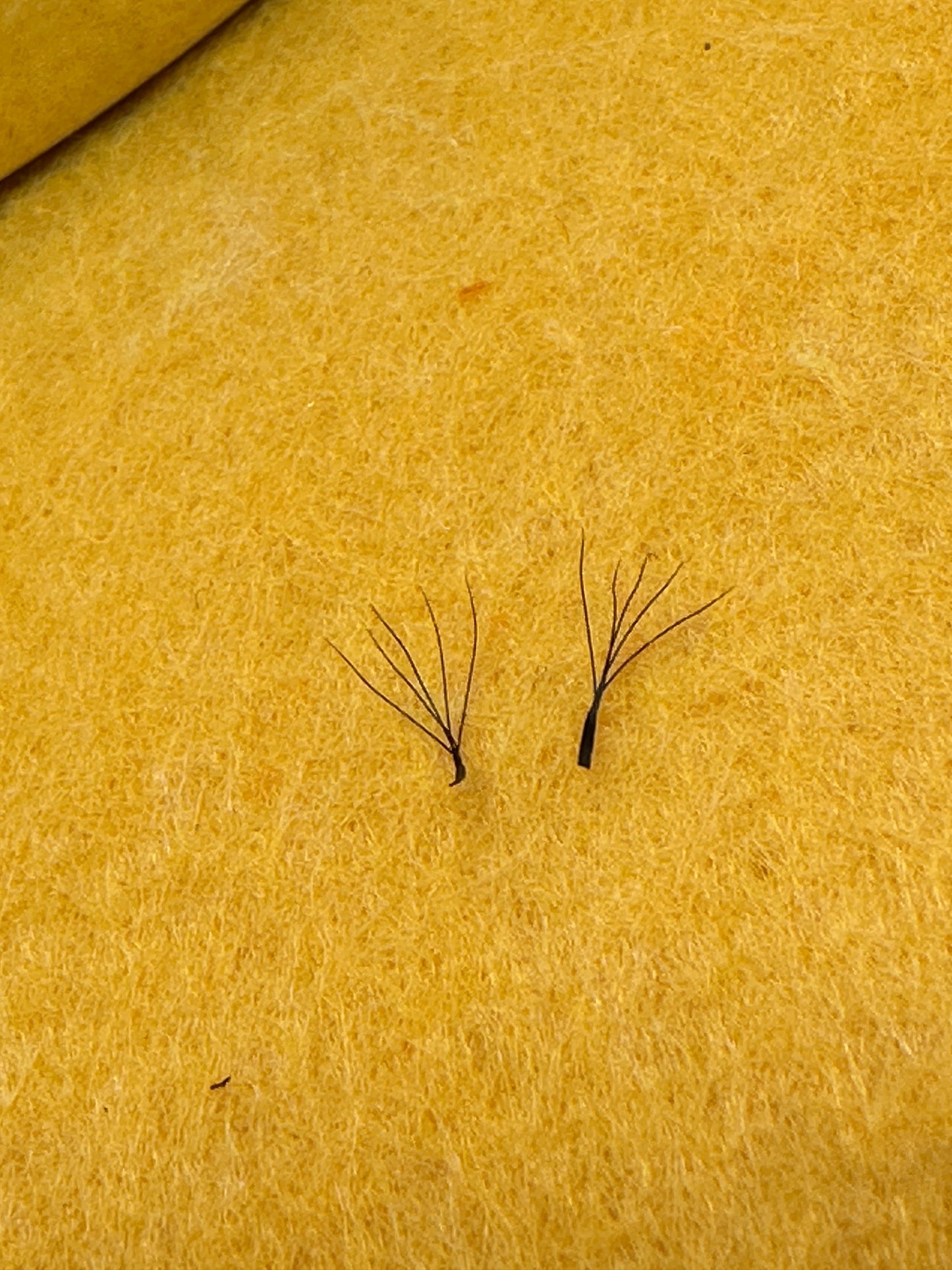 5d 0,05 d curl 11 mm